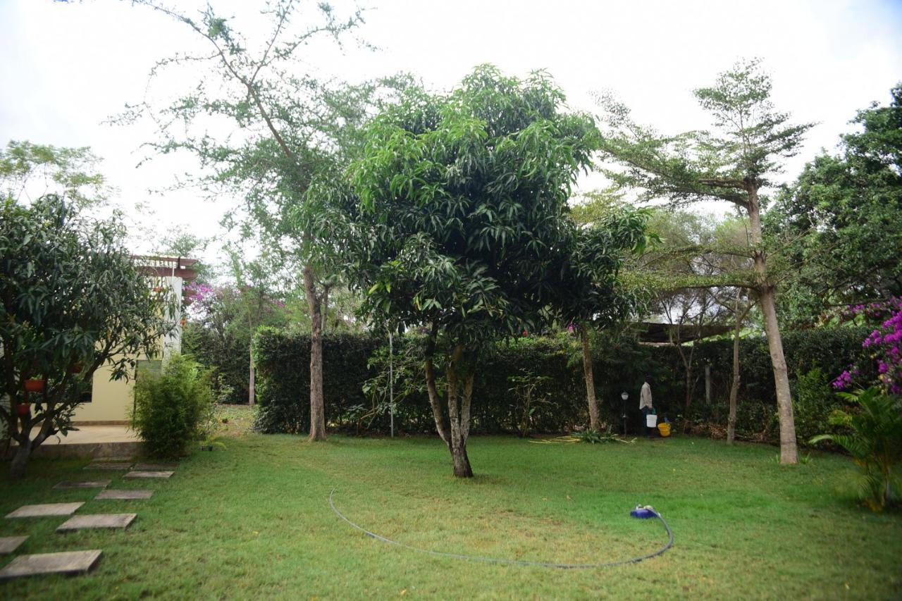 Charming Eco-Homestay Near Kilimanjaro International Airport Arusha Exteriér fotografie
